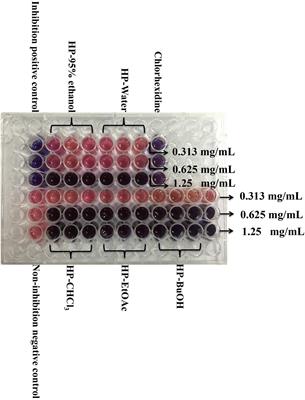 Anti-biofilm Activities from Bergenia crassifolia Leaves against Streptococcus mutans